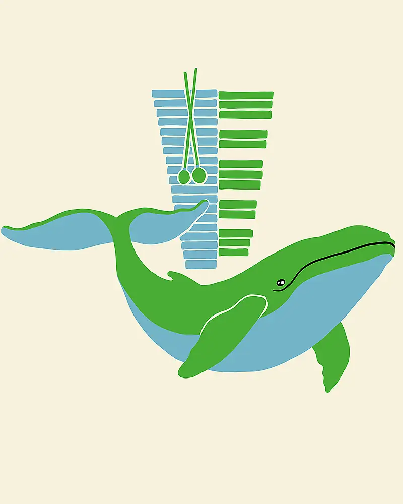 PhilharmonieVeedel Baby