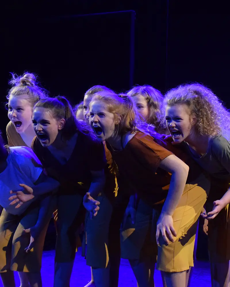 TheaterMedienKlassen 8.1 + 8.2 des AMG | Doppelvorstellung: Große Erwartungen und Ein Sommernachtstraum